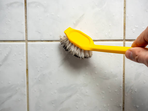 Best Mold Remediation  in Suisun City, CA