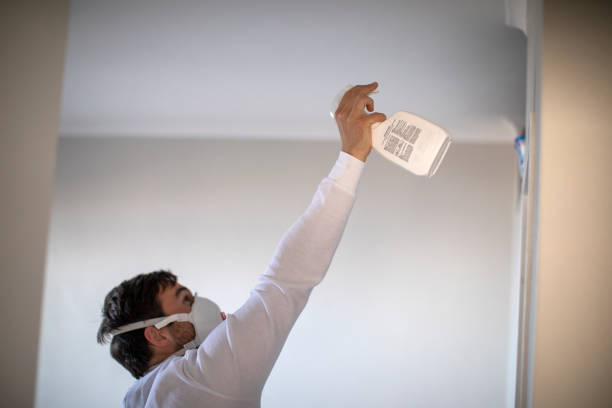 Best Mold Testing  in Suisun City, CA