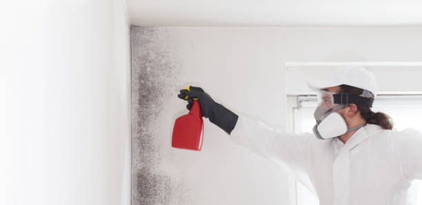 Best Emergency Mold Removal  in Suisun City, CA