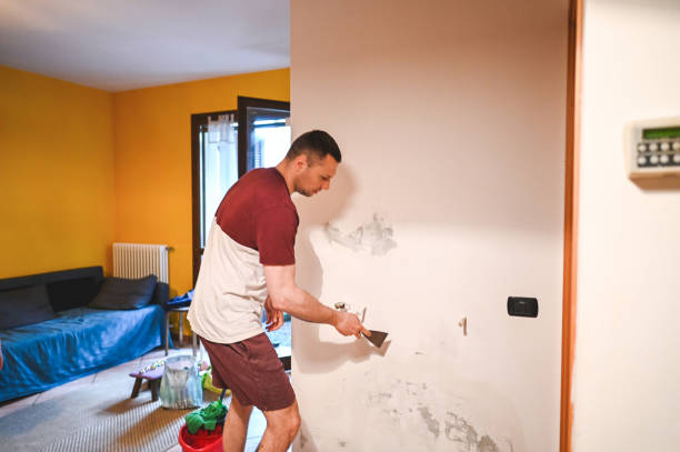 Best Professional Mold Removal  in Suisun City, CA